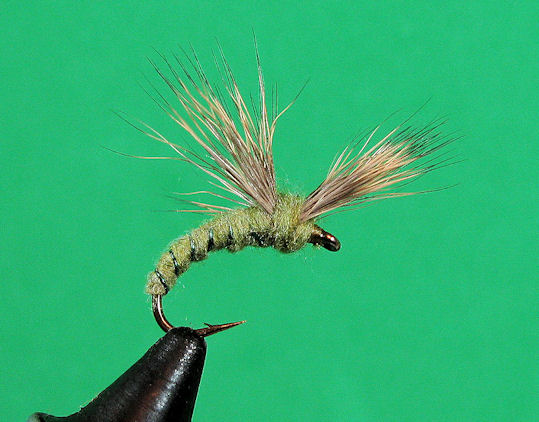 Flies - MVFF, fly tying, fly tying patterns, fly tying instructions and ...